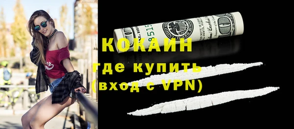 СК Алексин