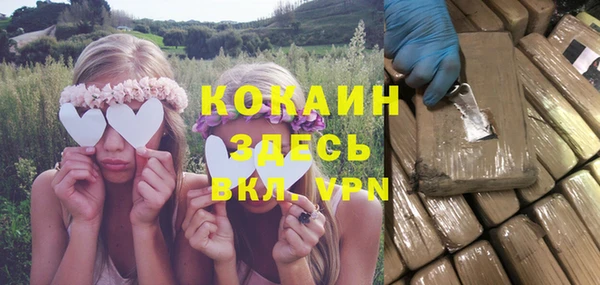 соль ск Абаза
