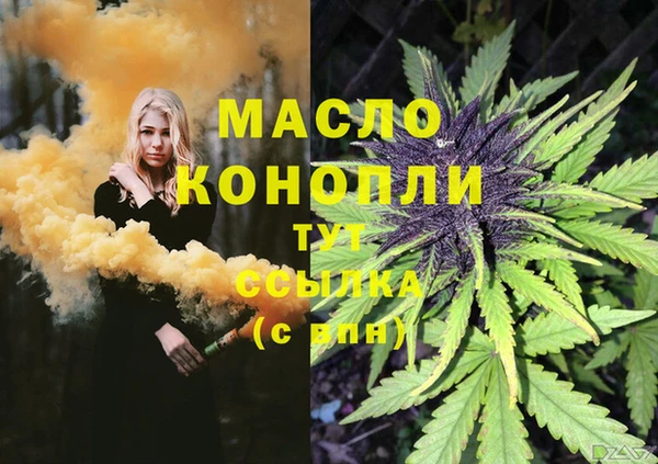 СК Алексин