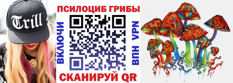 Галлюциногенные грибы Magic Shrooms  Богородицк 
