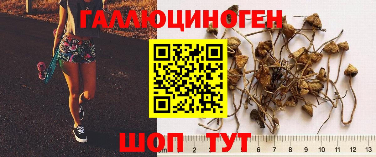 Богородицк  как найти наркотики  Псилоцибиновые грибы Magic Shrooms  Вход с VPN  Галлюциногенные грибы Cubensis 