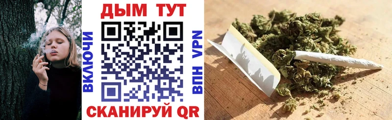 купить наркотики цена  Богородицк  Шишки марихуана гибрид 